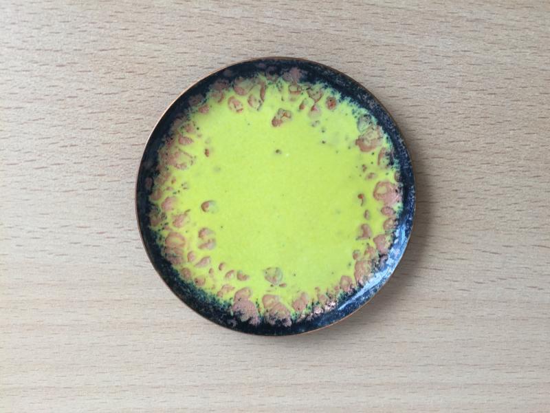 Bild "IMG_5250.jpeg"