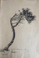 Bild "IMG_1080.jpeg"