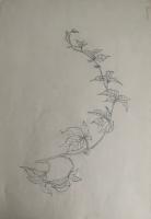 Bild "IMG_1084.jpeg"