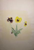 Bild "IMG_1138.jpeg"