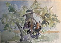 Bild "IMG_1145.jpeg"