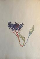 Bild "IMG_1147.jpeg"