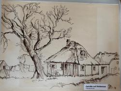 Bild "aa666a03-f02d-442b-b39d-732fe8435798.jpeg"