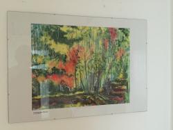 Bild "IMG_5119.jpeg"